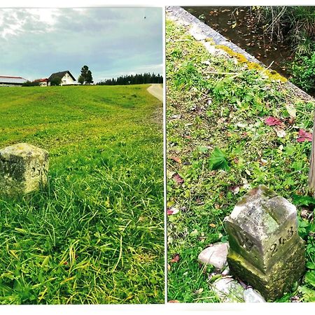 Uebernachtungsmoeglichkeit In Maierhoefen Grunenbach Buitenkant foto